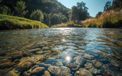 Neues Wassergesetz in Mecklenburg-Vorpommern